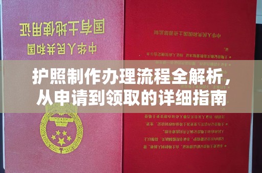 陆川护照制作办理流程全解析，从申请到领取的详细指南